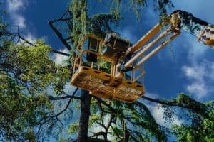 Lifting platform used to inspect trees